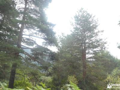 Pino de la Cadena (Valle de Siete Picos, Sierra de Guadarrama); pantalones para senderismo ropa mont